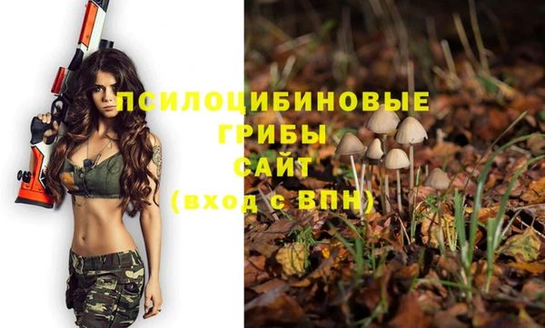 MESCALINE Богородицк