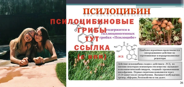 гидропоника Богданович
