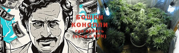 гидропоника Богданович