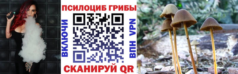 Псилоцибиновые грибы мицелий  купить наркоту  Дмитров 