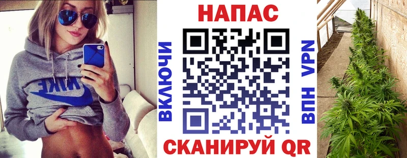 хочу   Дмитров  OMG зеркало  Канабис MAZAR 
